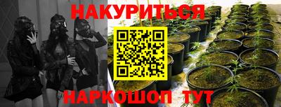 трава Кунгур