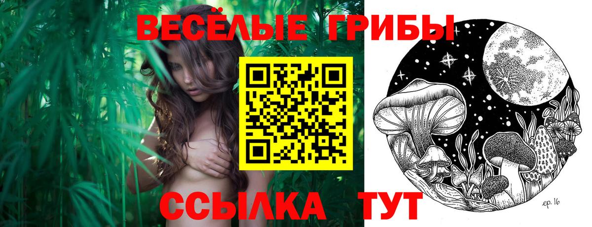 Псилоцибиновые грибы мухоморы  Вход с VPN  Каменск-Шахтинский  Галлюциногенные грибы прущие грибы 